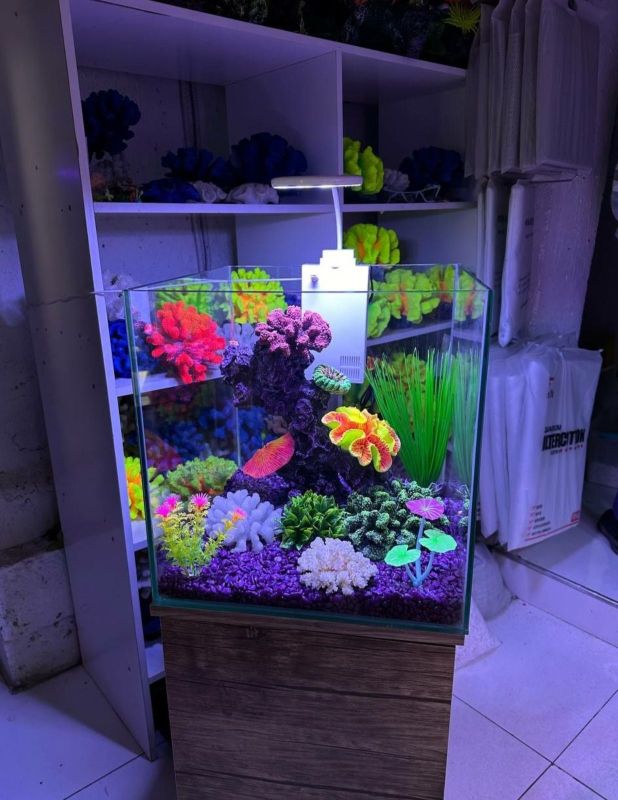 Akvarium va dekaratsyalar sotiladi Akvarium va dekaratsyalar sotiladi