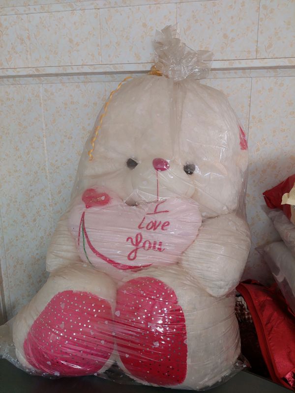 myagkiy igrushka myagkiy igrushka