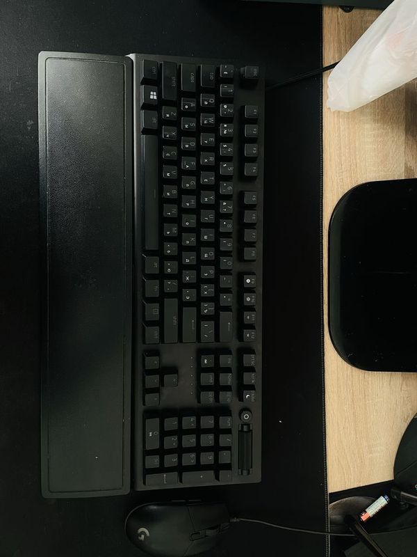 Razer BlackWidow v3 Logotech 102