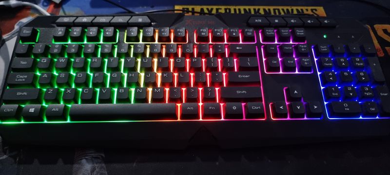 RGB Kilavitura, mishka, kovrik, quloqchin RGB Kilavitura, mishka, kovrik, quloqchin