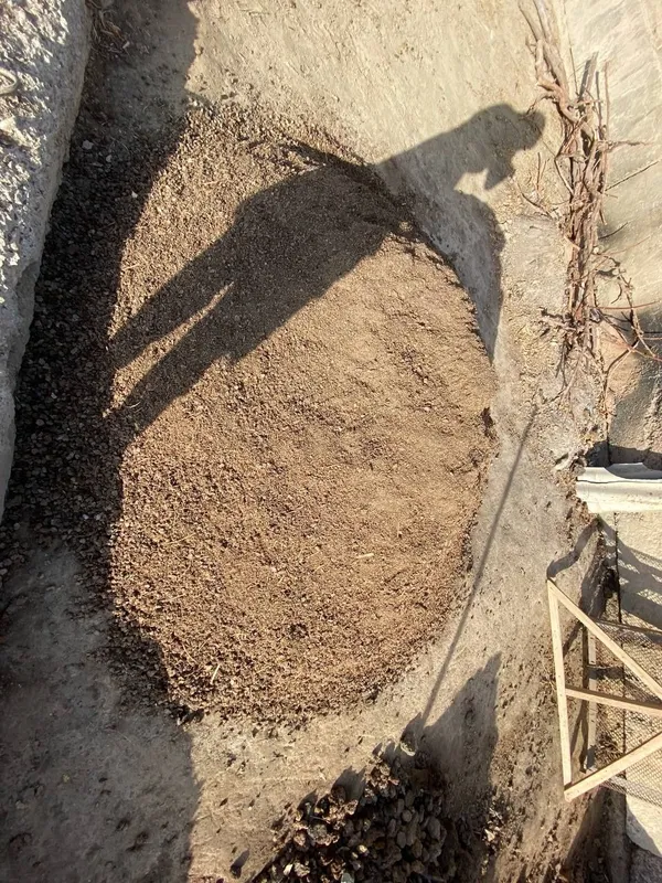 Kuygan poru sotiladi Kuygan poru sotiladi