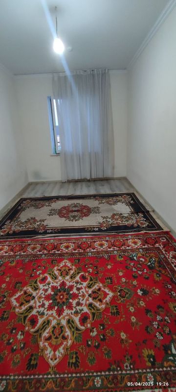 Talaba uchun Kvartira ijaraga