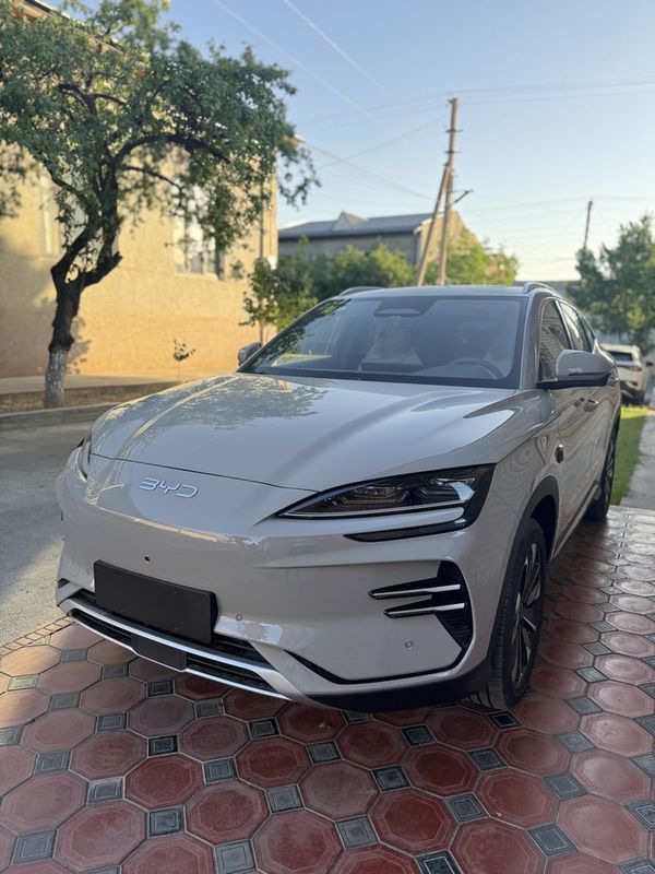 BYD Champion Smart 605