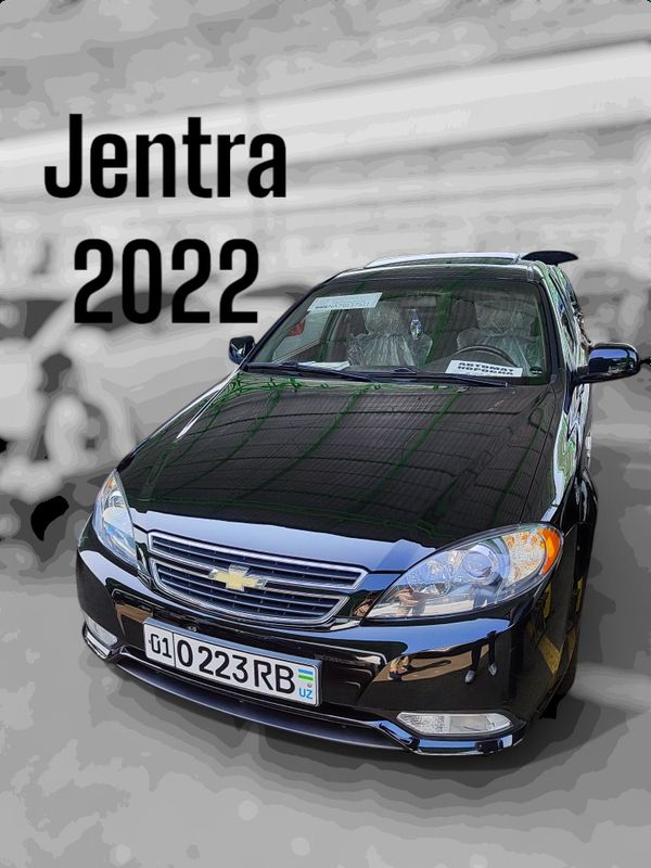 Жентра 2022 кора лукли Жентра 2022 кора лукли