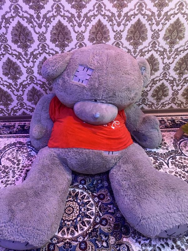 Ayqicha teddy buyi 2,2 metr
