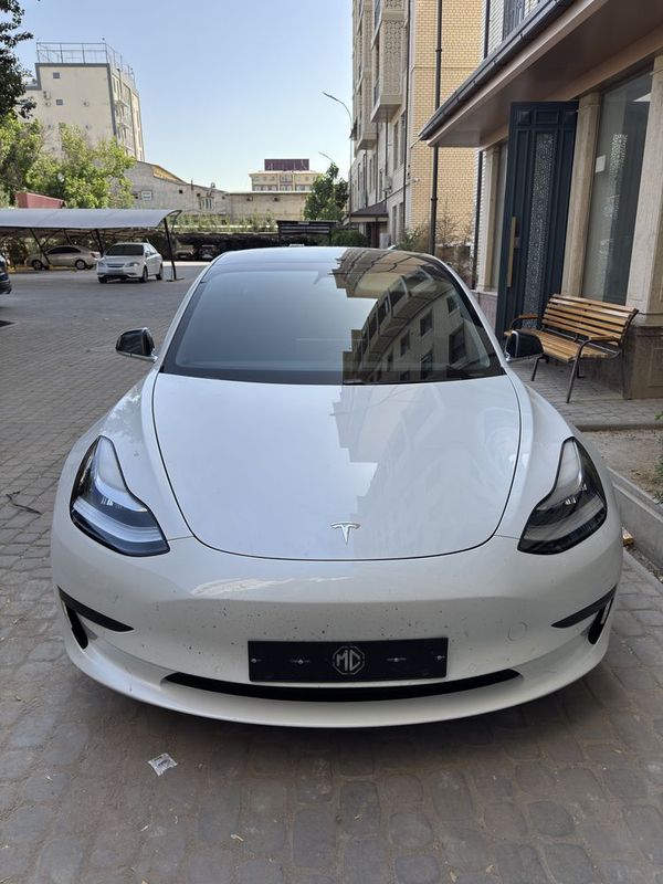Tesla Model 3 Standart drive Tesla Model 3 Standart drive