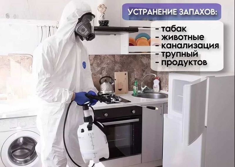 Dezinfeksiya xizmati - tarakan, burga, kana, ilon, chayon, chimoli Dezinfeksiya xizmati - tarakan, burga, kana, ilon, chayon, chimoli