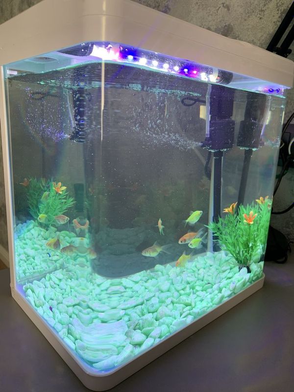 Akvarium 20litr yengi sotiladi аквариум Akvarium 20litr yengi sotiladi аквариум
