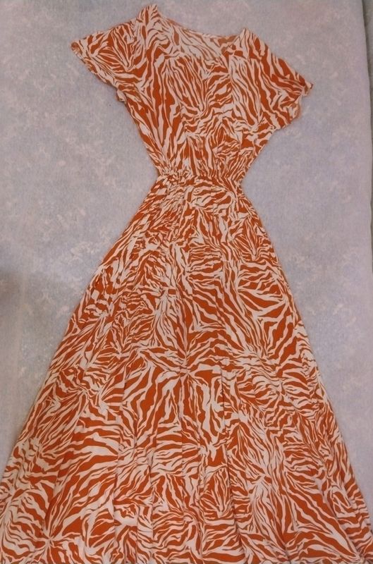 Ayollar koʻylagi