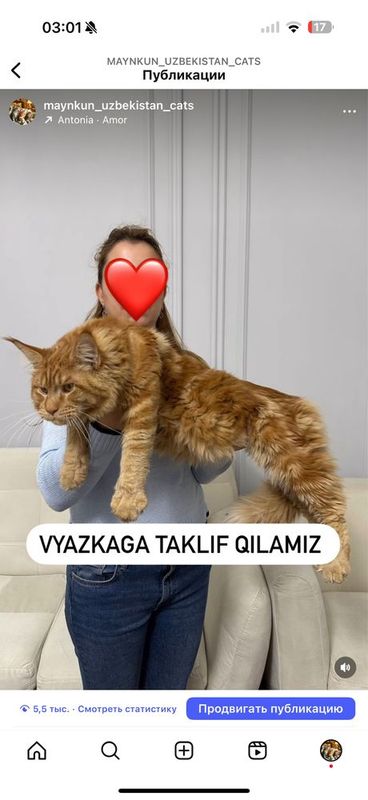 Приглашаю на вязку