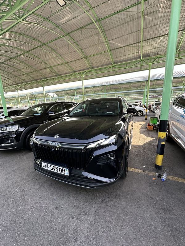 Dongfeng Aeolus Gibrit