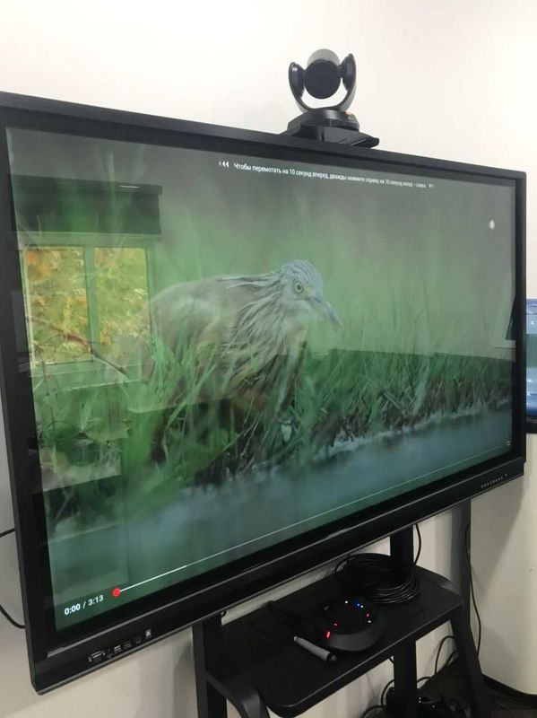 Удар по ценам! Интерактивные доски 65", 75", 86" Удар по ценам! Интерактивные доски 65", 75", 86"