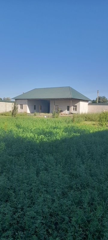 Dacha hovli arindaga beriladi Dacha hovli arindaga beriladi