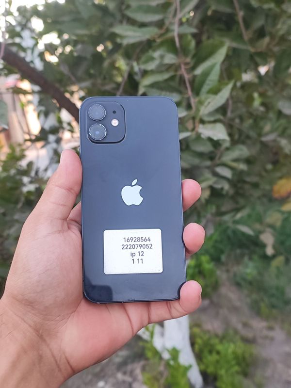 Iphone 12 holatlari yahwi