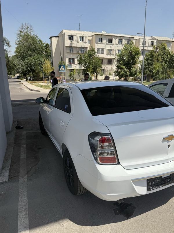 Cobalt 2025 qora diskali
