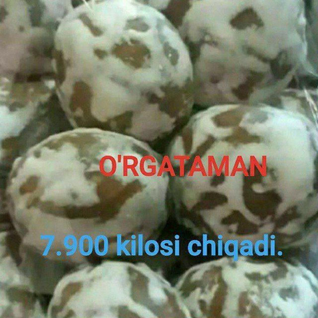 O'rgataman pryanik 400$ O'rgataman pryanik 400$