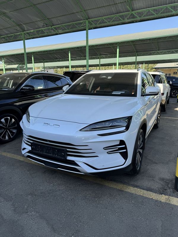 BYD Champion hybrid 150 full