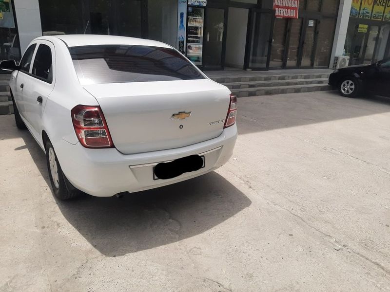 Cobalt 2019 kraska toza Cobalt 2019 kraska toza