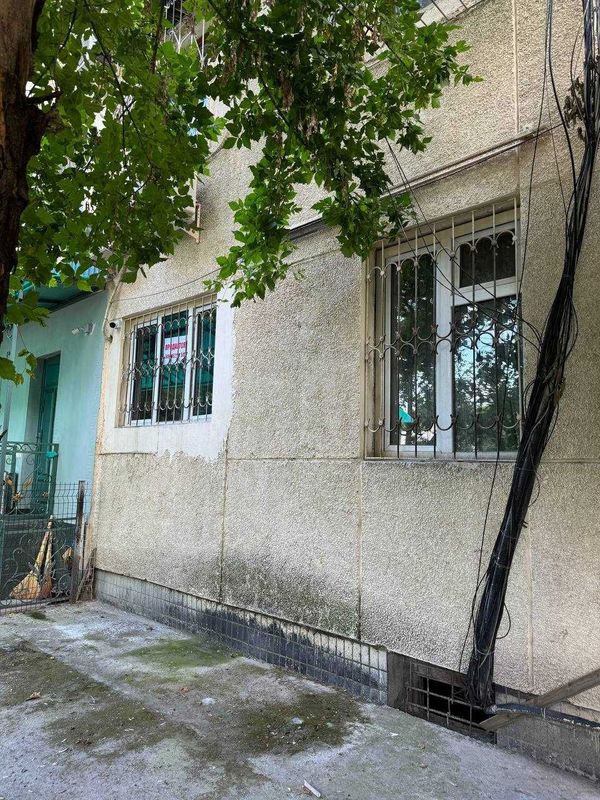 Первушка Эльбек 3в4/1/4 Орр. Виноград Инфинити Зор тв 77-серия