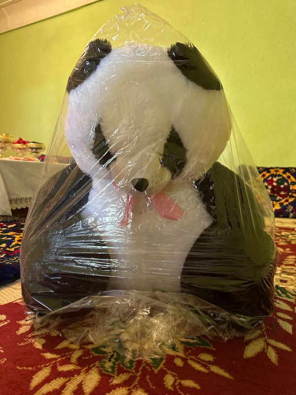 Panda yangi arzon narxga sotaman Panda yangi arzon narxga sotaman