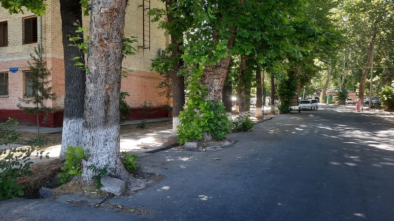 Сдается в аренду под Офис 66 м² Сдается в аренду под Офис 66 м²