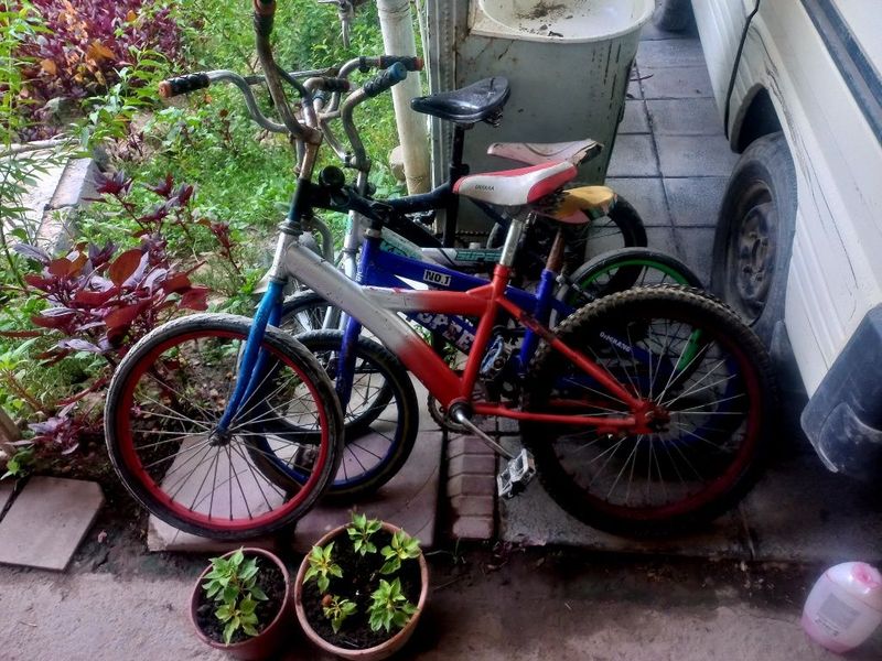 Trek velik holadi zor Trek velik holadi zor