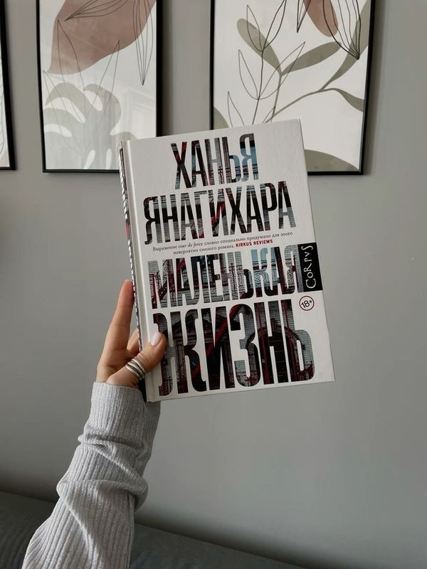 Книга «Маленькая жизнь»