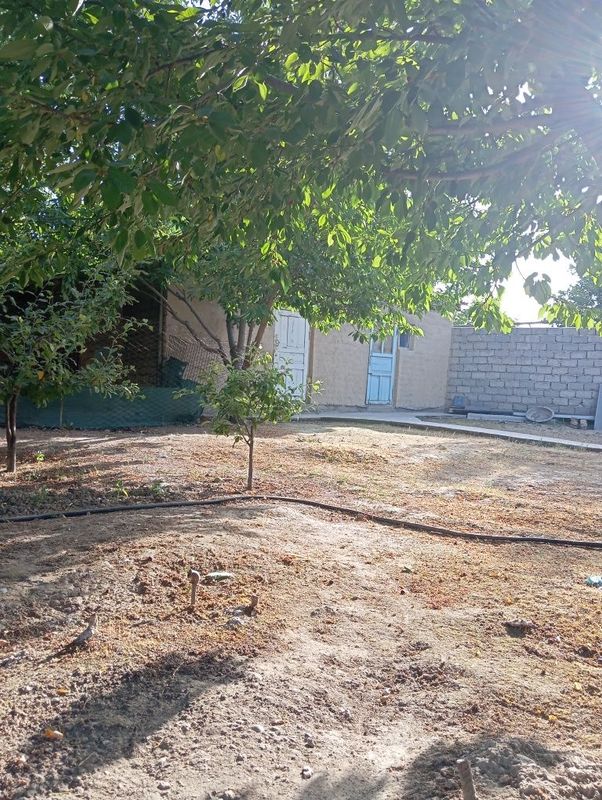 Yer sotiladi 3totik manzil Toshkent dengizi yaqinida