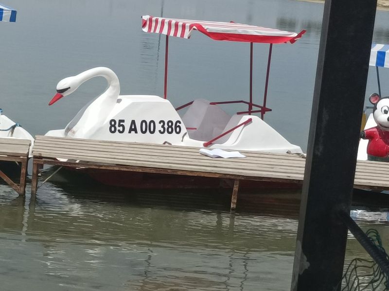 Katamaran sotiladi pedallik Katamaran sotiladi pedallik