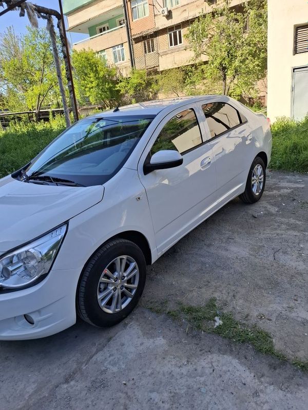 COBALT 24/25 Вариант насия савдога COBALT 24/25 Вариант насия савдога
