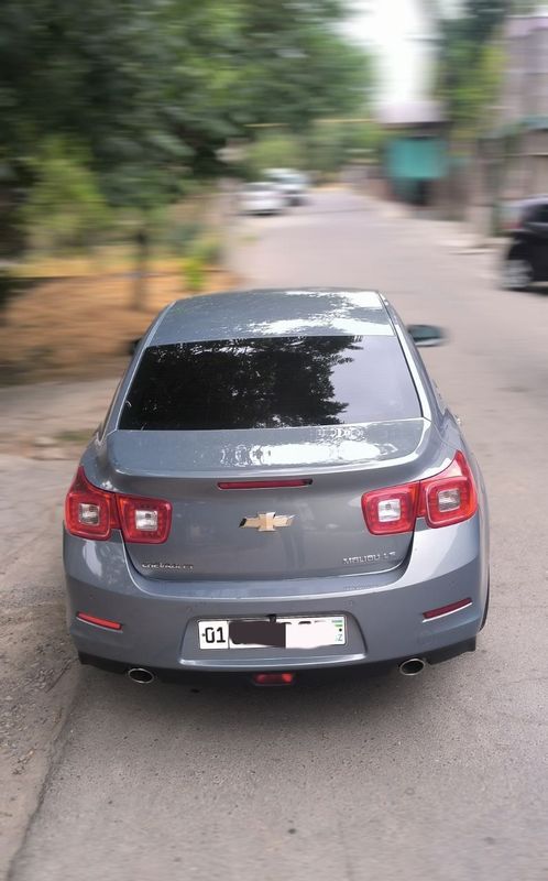 Malibu 1, 1 позиция, 2013 год выпуска Malibu 1, 1 позиция, 2013 год выпуска