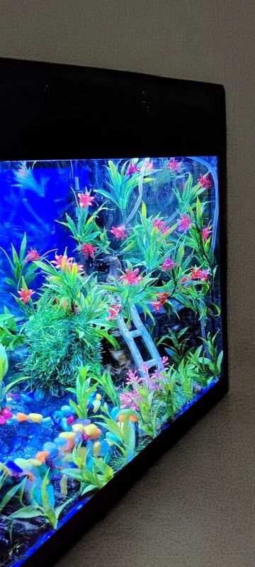 Akvarium sotiladi srochna sotiladi Akvarium sotiladi srochna sotiladi