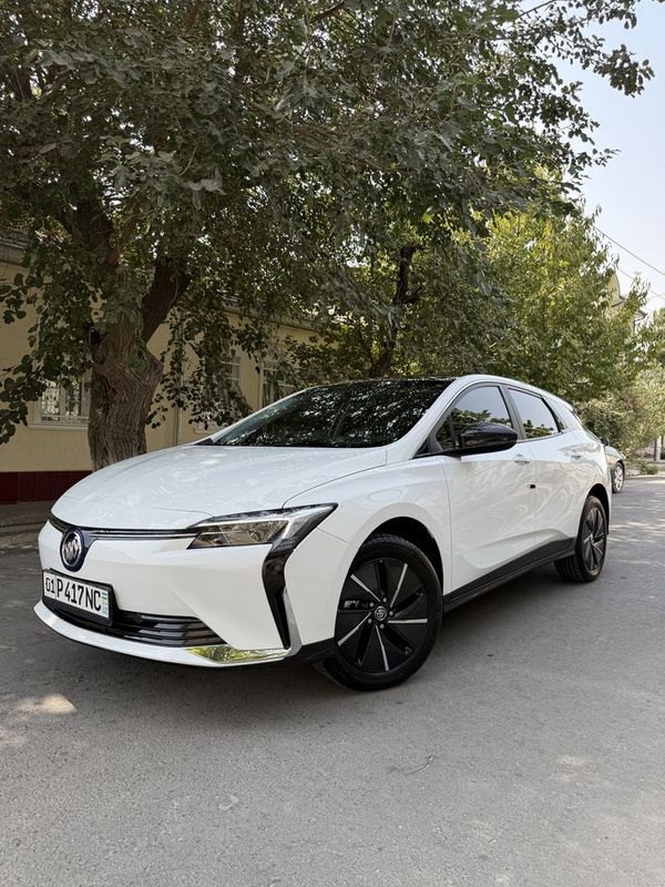 SOTILADI! Buick Velite 6