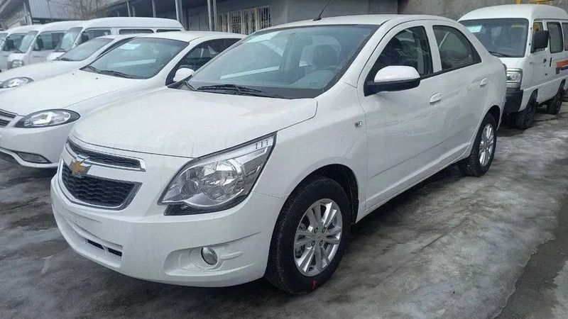 Cobalt pachka 2025 Cobalt pachka 2025