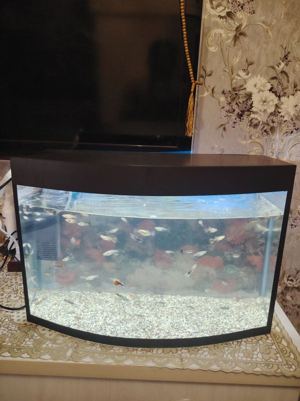 Avalniy akvarium 40Litr komplekt