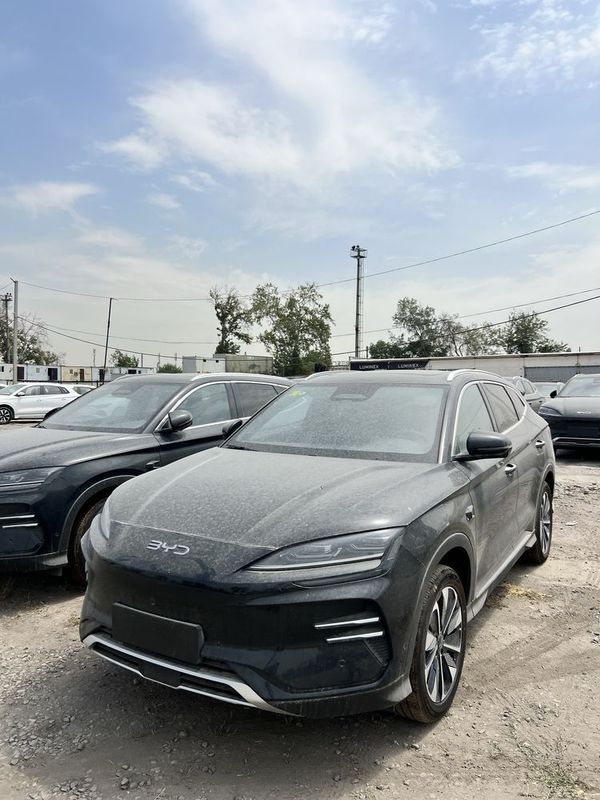 Byd champion 2026 model smart drive