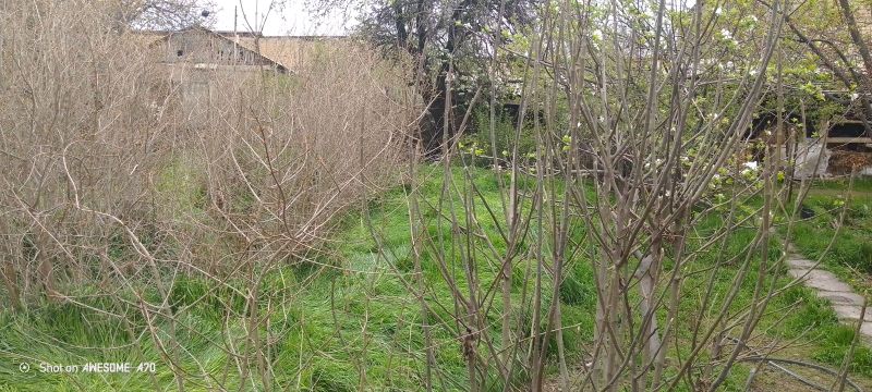 xovli sotiladi 6 sotix maydoni sirochna sotiladi xovli sotiladi 6 sotix maydoni sirochna sotiladi