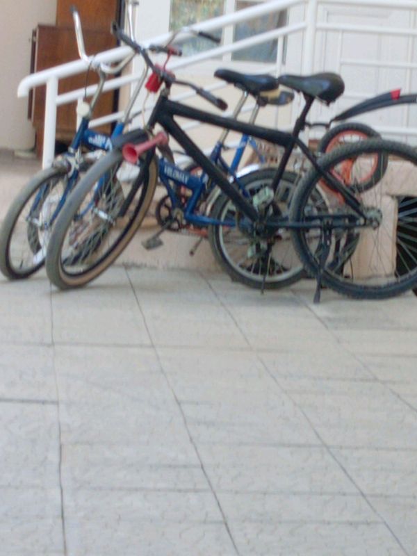 4 ta velosiped arzon narxda