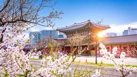 Koreyaga viza olish Koreyaga viza olish