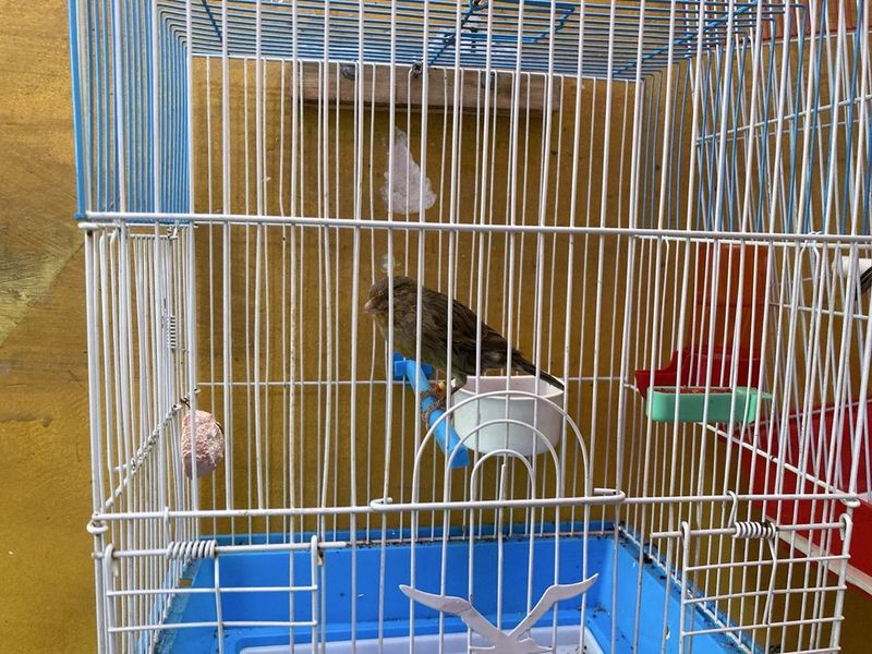 Мирзо улуғбек тумани қорасув 6
