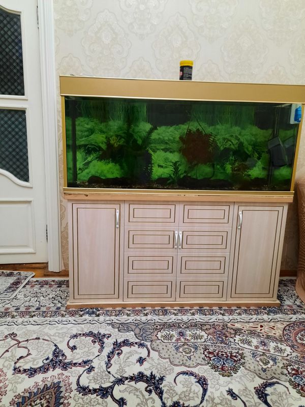 Продаётся аквариум с подставкой 150×70×47sm