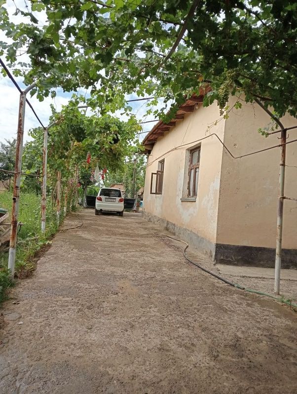 Uchaska sro'chna sotiladi