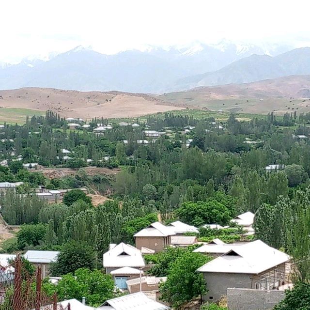 ishchi kerak dalada qoʻy boqishga, tajribasi bor