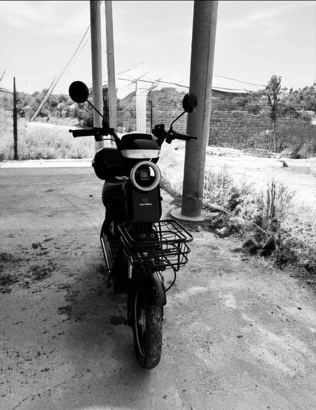 elektira sukuter elektira sukuter
