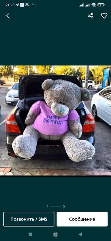 Teddi Teddiy Teddy (3m)