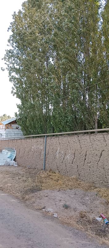 Yer sotiladi Yengi Toshmiy postan kirganda Yer sotiladi Yengi Toshmiy postan kirganda