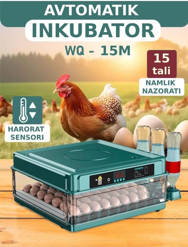 Инкубатор для яиц Инкубатор для яиц