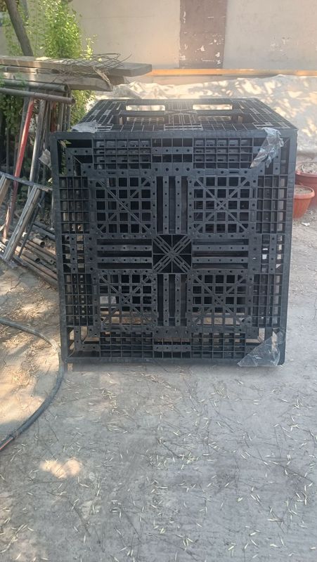 Продам Падонны 8 шт Продам Падонны 8 шт