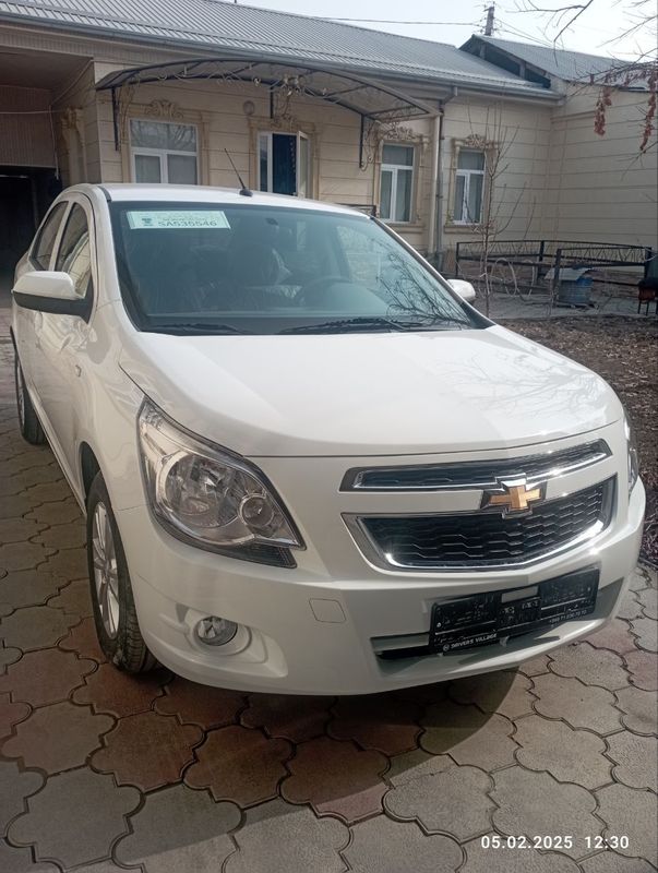 Cobalt Stayl 2025 Cobalt Stayl 2025