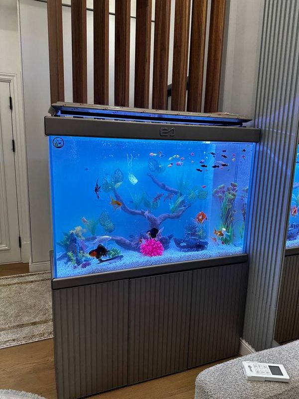 Buyurtma asosida akvarium yasab beramiza Buyurtma asosida akvarium yasab beramiza